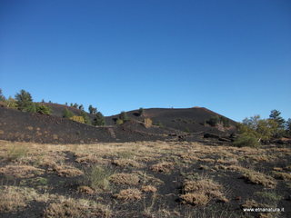 nti Sartorius-01-11-2012 09-50-28